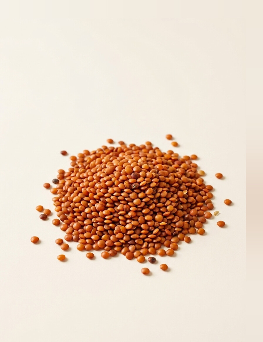 A scattered mound of small flat lens-shaped reddish-orange shahidana seeds.